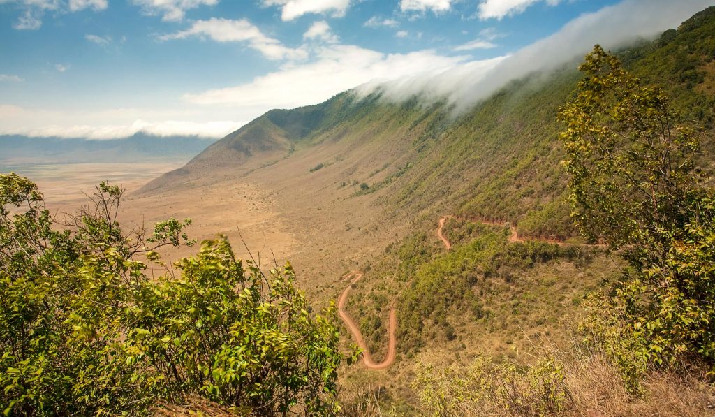 ngorongoro-highlands-trekking